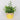 Easter Table Top Florals