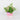 Easter Floral Arrangements with Bunny Feet Base