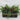 16" Floral Arrangements with Cones Table Top Centerpiece