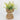 Spring Yellow/Green Florals with Jute Base
