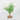 Spring Greenery on Wooden Base