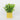 Spring Greeneries on Square Pot