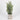 Decorative floral arrangements in a pot