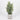 Decorative floral arrangements in a pot