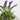 10 X 9 X 10"H ARTIFICIAL GREENERY DECOR
