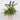 10 X 9 X 10"H ARTIFICIAL GREENERY DECOR