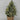 14"H. Christmas Berries & Leaves Tree Arrangements
