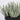 9 X 7.5 X 8"H ARTIFICIAL GREENERY DECOR