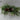 15"H. Black Metal Lantern with Christmas Floral Arrangements