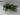 15"H. Black Metal Lantern with Christmas Floral Arrangements