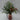 15"H. Red Metal Lantern with Christmas Floral Arrangements