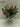 12"H. Berries Table Top Arrangements