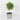 Spring Table Top Topiary on Pot