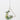 Spring  Hanging White Rose Florals with Wired Base