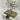 Metal Stars With Gold Base Stocking Holder