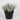 9 X 7.5 X 8"H ARTIFICIAL GREENERY DECOR