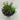 Halloween 6“H Ceramic Pot with Florals