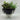 Halloween 6“H Ceramic Pot with Florals