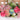 Spring Multicolor Wreath