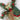 Stockings with evergreens and berries ornament