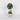 Easter Topiary with Eggs