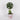 Easter Topiary with Eggs