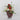 Valentines Table Top Florals