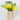 Spring Yellow Lily Floral Arrangement