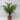 12"H Pine Needle with Cones Arrangements in a Glass Vase