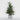 Evergreen tree with silver pot