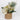 Decorative floral
 arrangements in pot