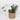 Decorative floral
 arrangements in pot
