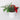 Floral arrangements 
in ceramic pot