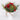 Floral arrangements 
in pot