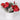 Floral arrangements 
in pot