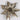 Golden poinsettia pick