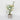 Spring Table Top Plant