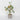 Spring Table Top Plant