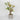 Spring Table Top Plant
