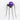 Large lighted purple spider
