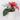 Floral arrangements 
in pot