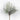 9" WHT PNCN LEAF PK
 

