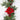 Poinsettia and berries garland