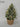 14"H. Christmas Berries & Leaves Tree Arrangements