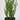 5 X 5 X 14"H ARTIFICIAL GREENERY DECOR