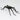Halloween Spider