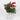 Christmas floral 
arrangements in pot