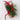Mistletoe ornament