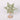 Lighted star table decor