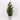 PVC pine tree with matte silver green finish